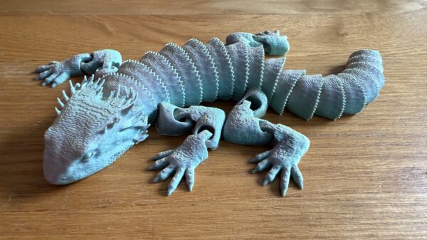 Bearded Dragon